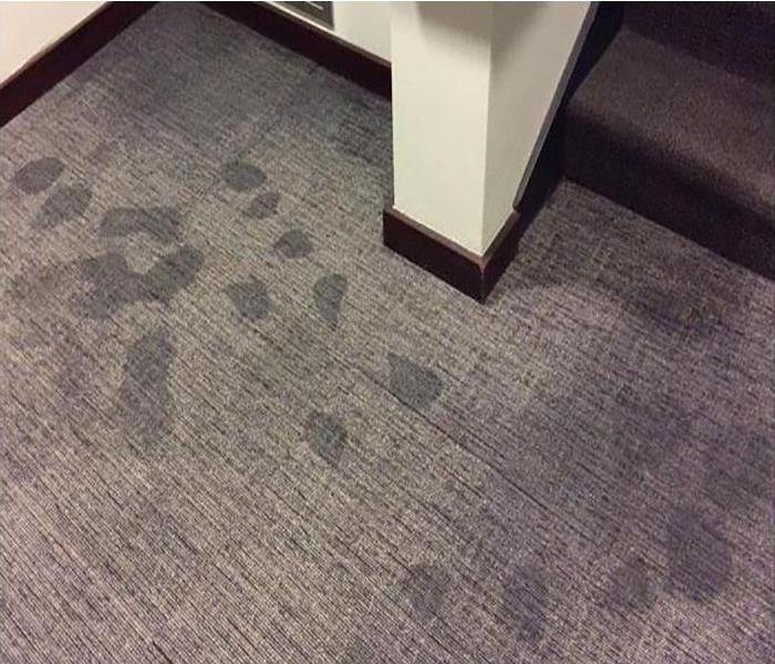 water damaged carpeting in commercial property